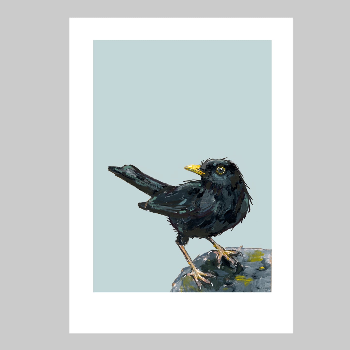 Blackbird Art Print - Bushy