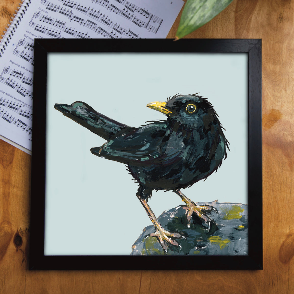 Ruffles the Blackbird, a charming and expressive garden bird featuring him singing proudly. An original wildlife painting by Ellwood Parker printed as a square greetings card and displayed in a square black frame.