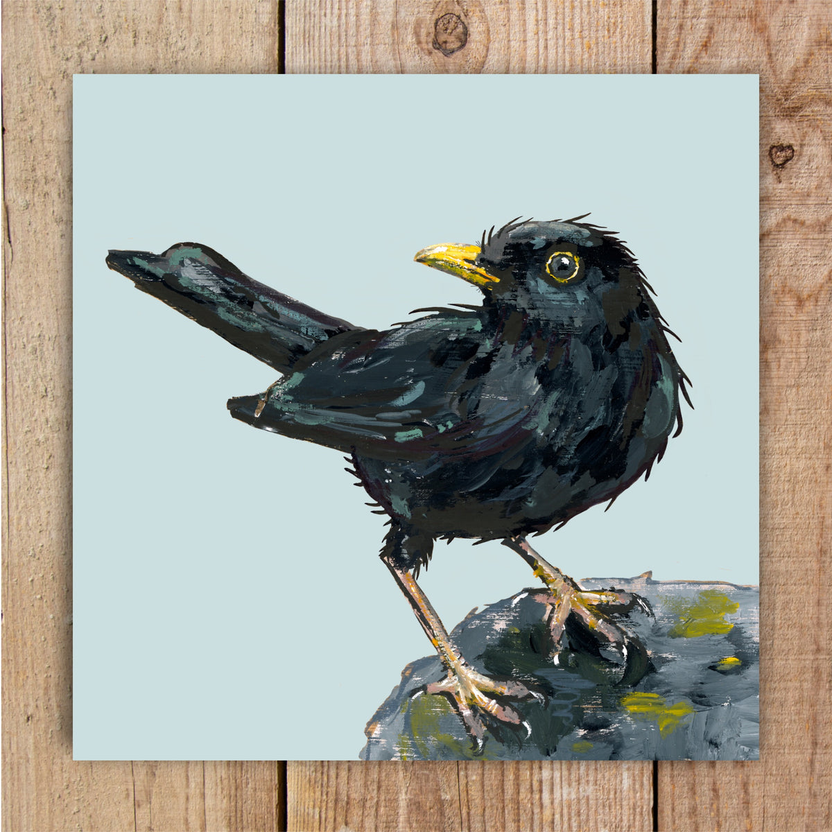 An original wildlife painting of a characterful blackbird perched on a rock, named Ruffles, recreated as a square greetings card.