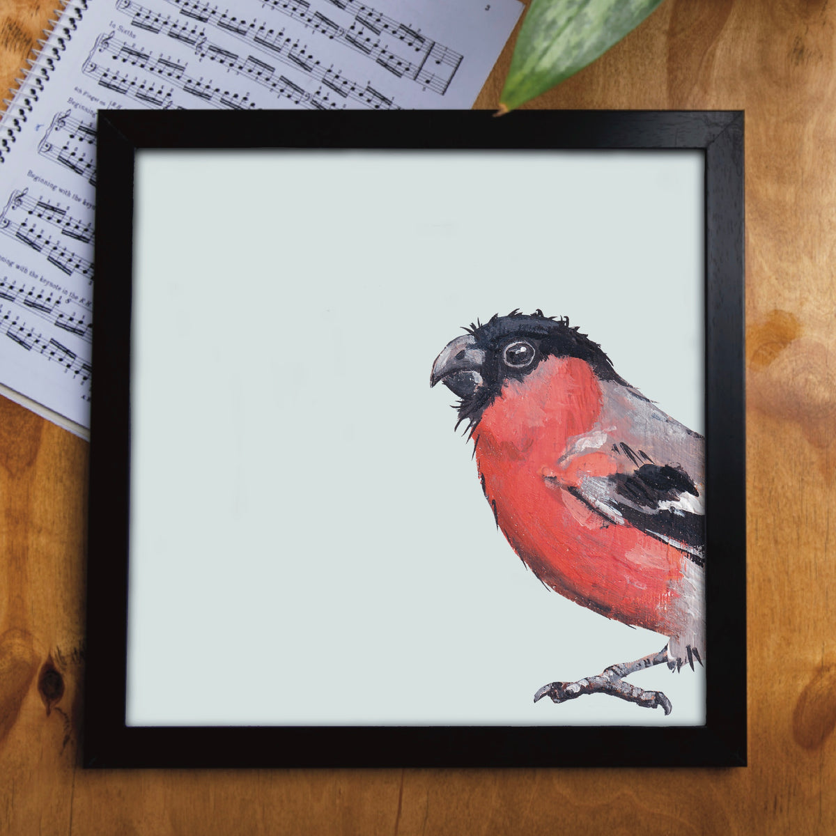 Framed picture of Sprout the Bullfinch, a luxury wildlife greeting card by Ellwood Parker.