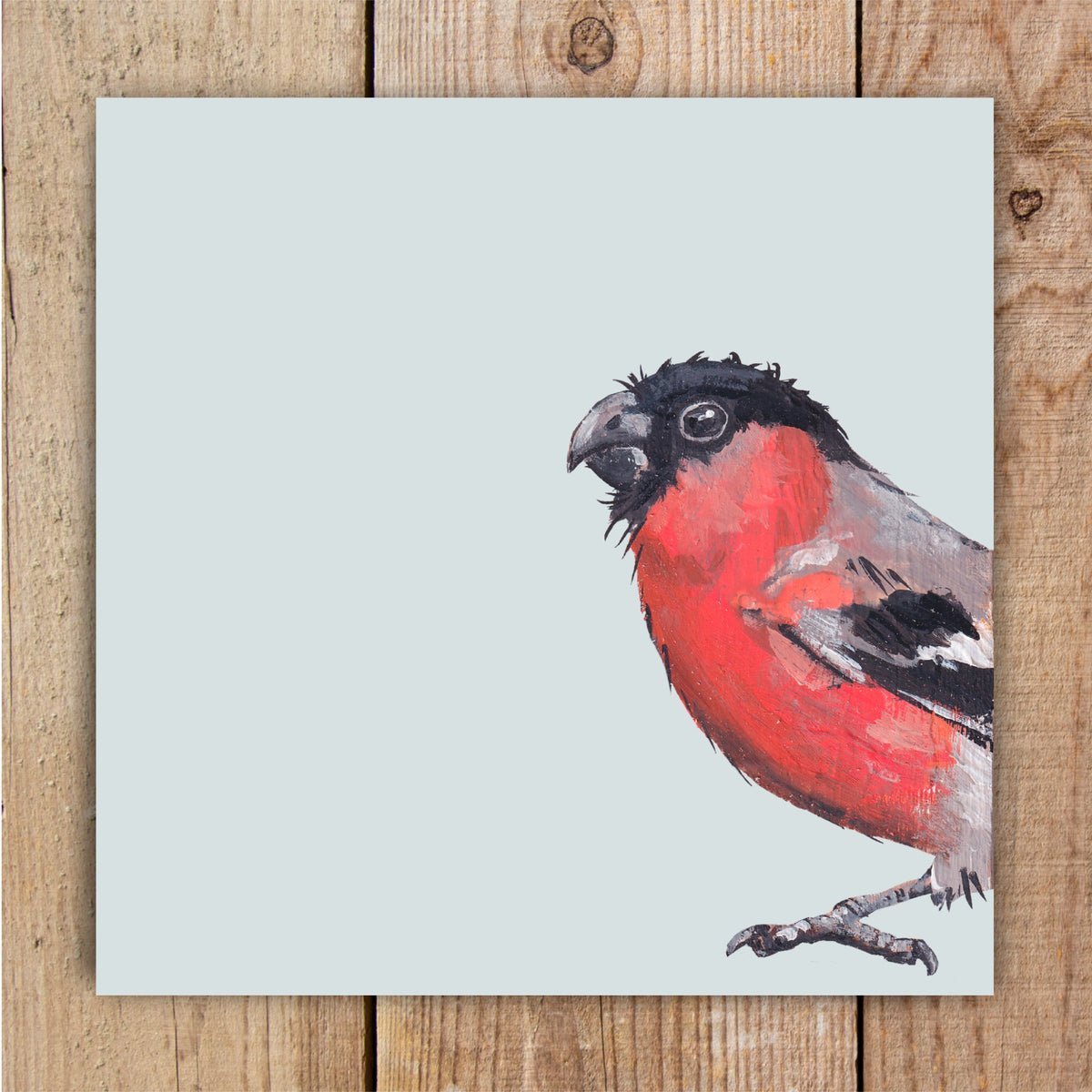 Sprout the Bullfinch, a British garden bird, greetings card featuring original British wildlife art illustration by Louise Ellwood Parker.