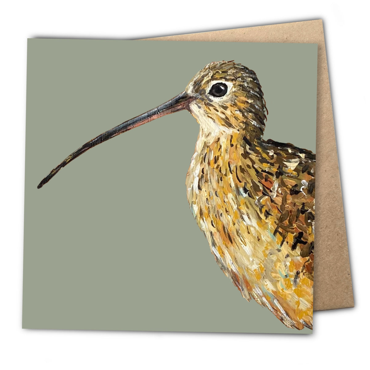 A square greeting card for birdwatchers and nature lovers, featuring a painted curlew with a long curved beak, shown in profile against a muted sage green background. A kraft paper envelope is visible behind the card. 