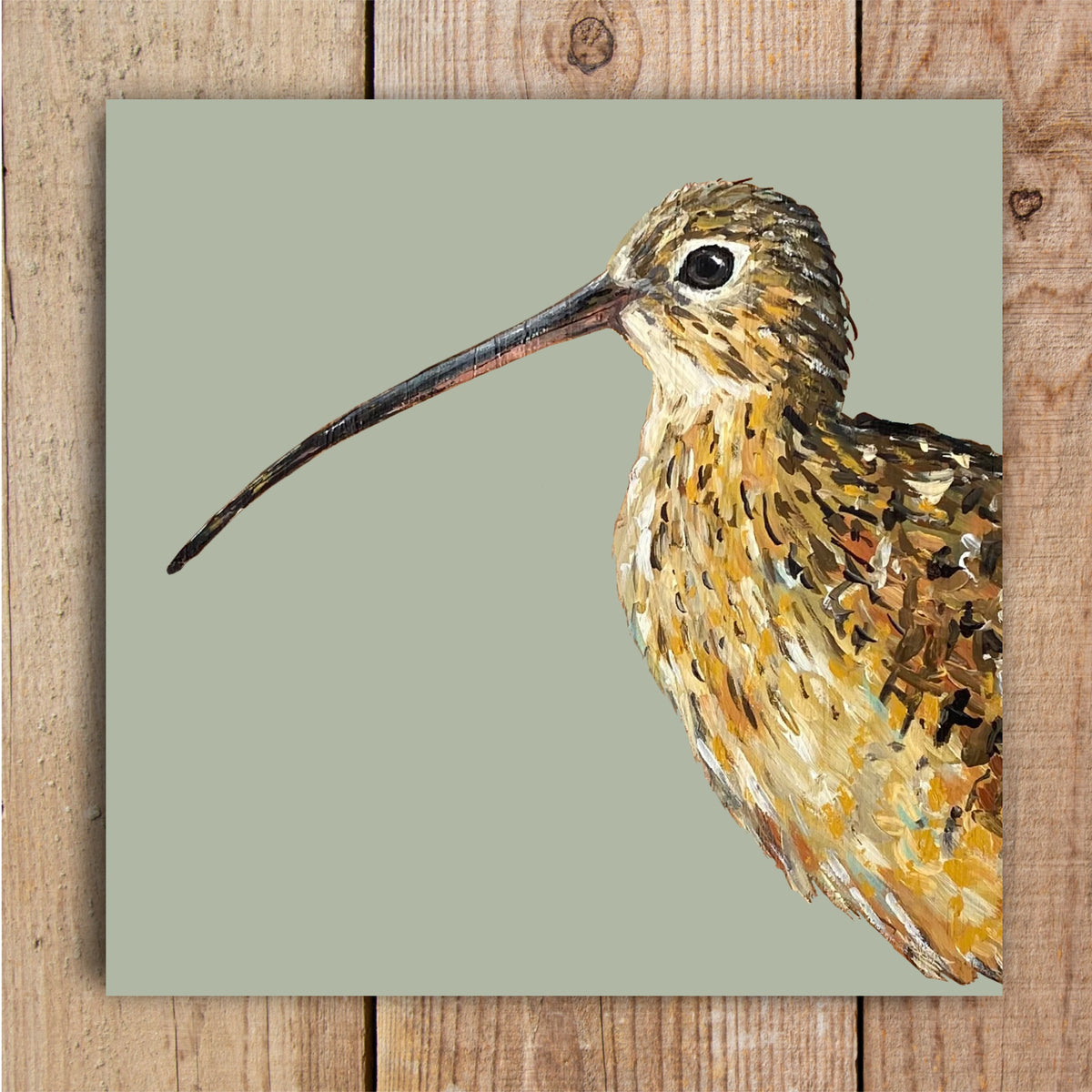 Twigs the Curlew eco friendly blank art card featuring original British wildlife art by Louise Ellwood Parker.