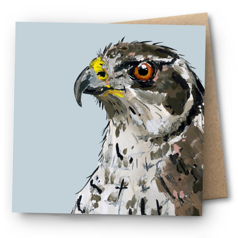 Goshawk Greetings Card - Griffin