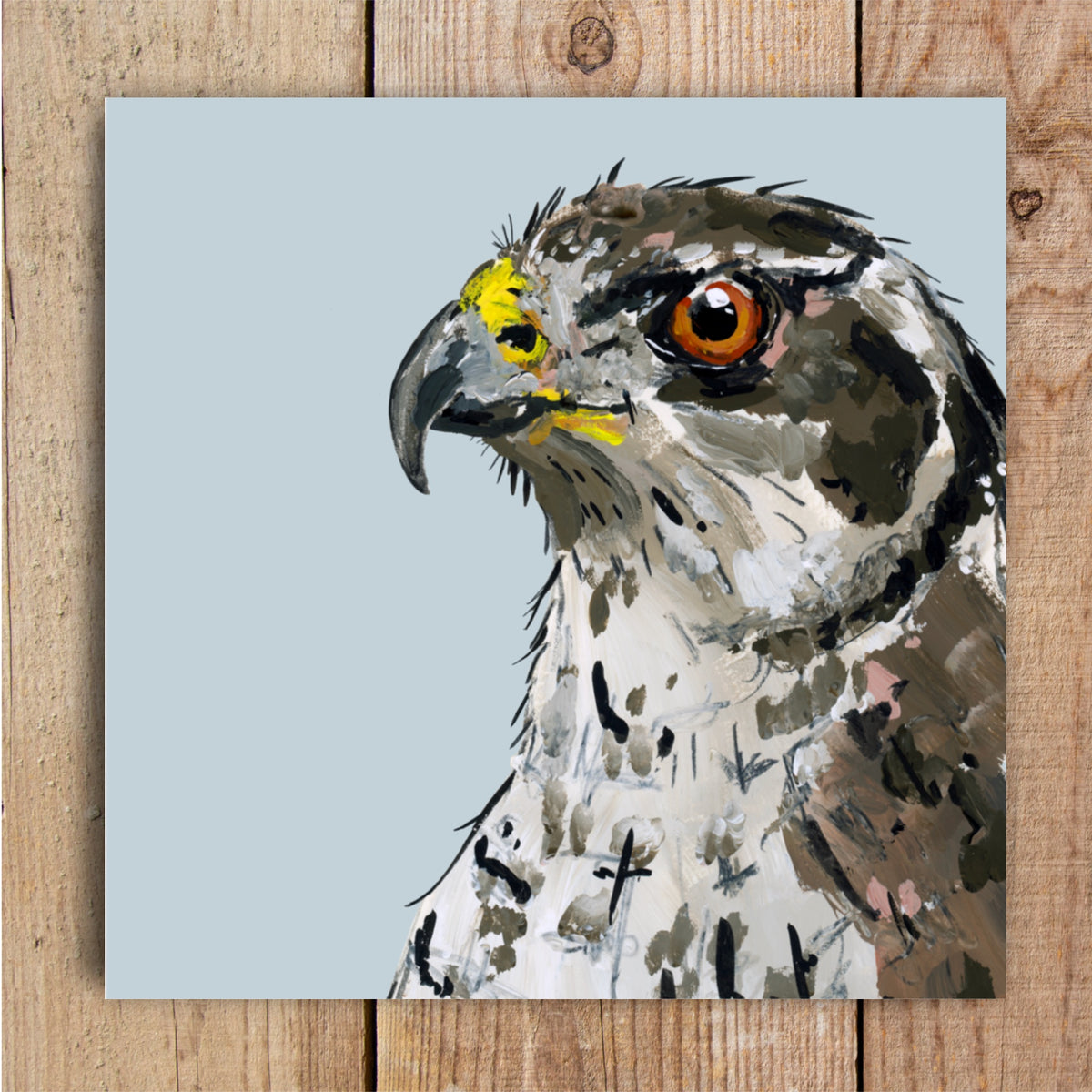 Griffin the Goshawk Eco-Friendly Greetings Card | Wildlife Stationery