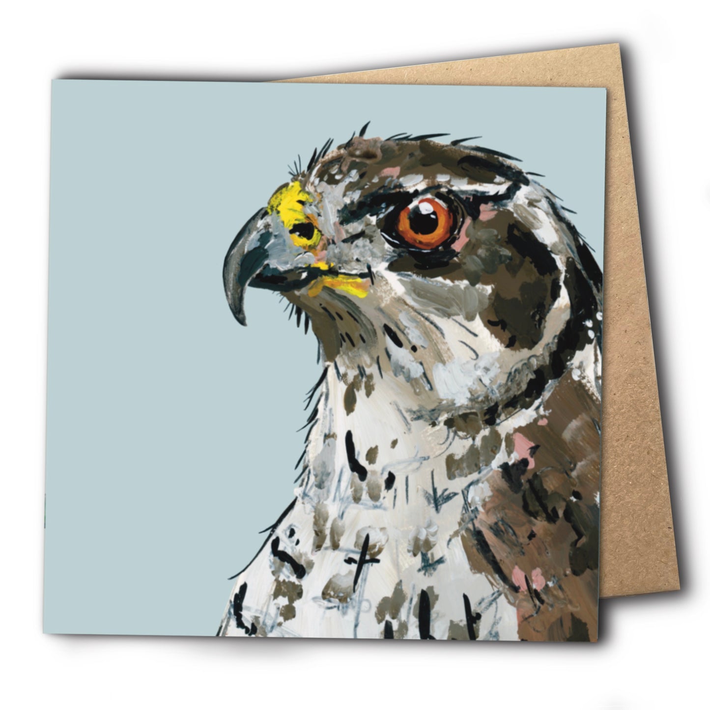 Goshawk Greetings Card - Griffin