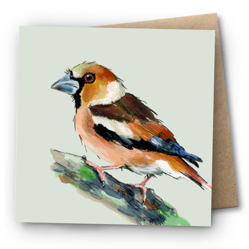 Hawfinch Greetings Card - Horace