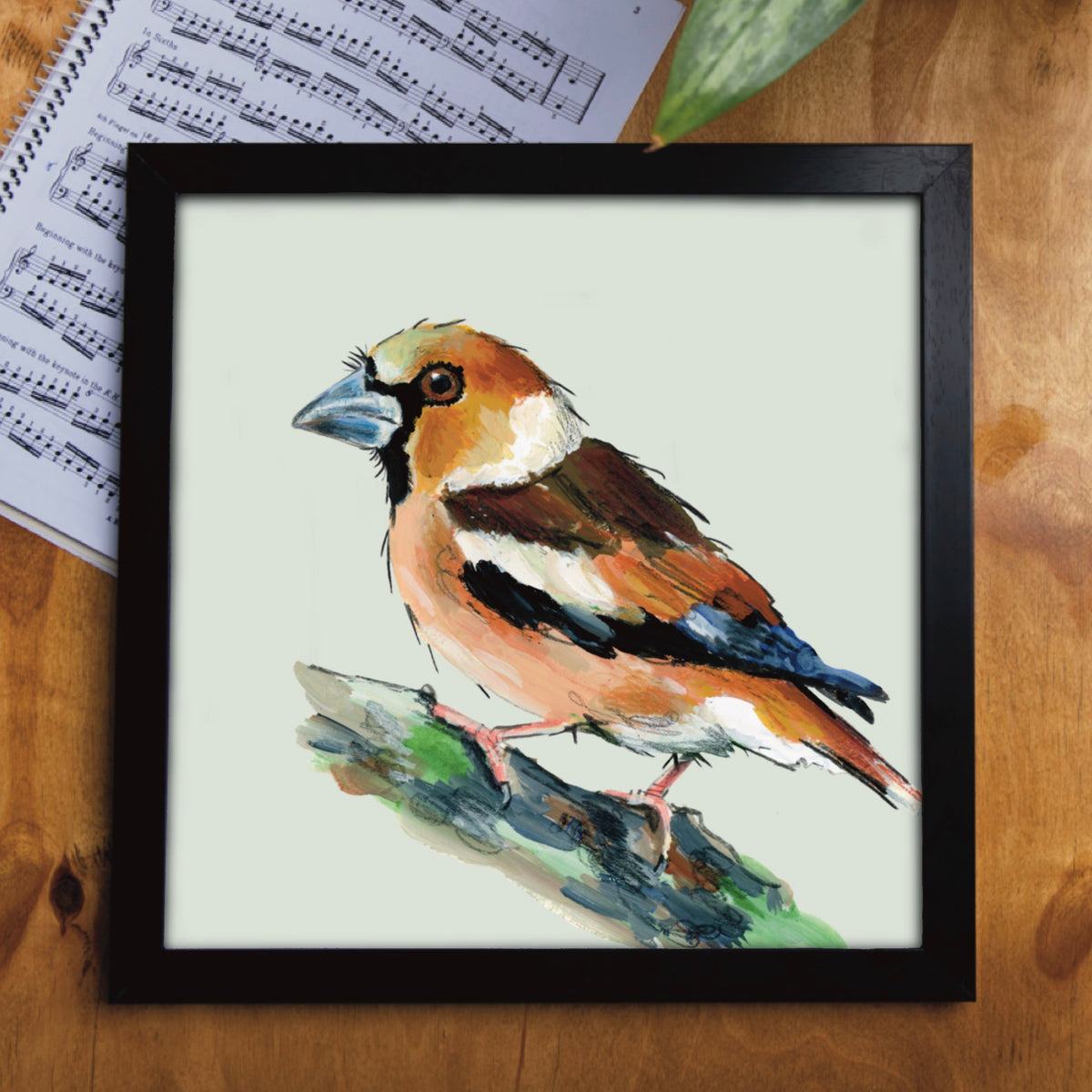 Horace the Hawfinch Eco-Friendly Greetings Card | Wildlife Stationery