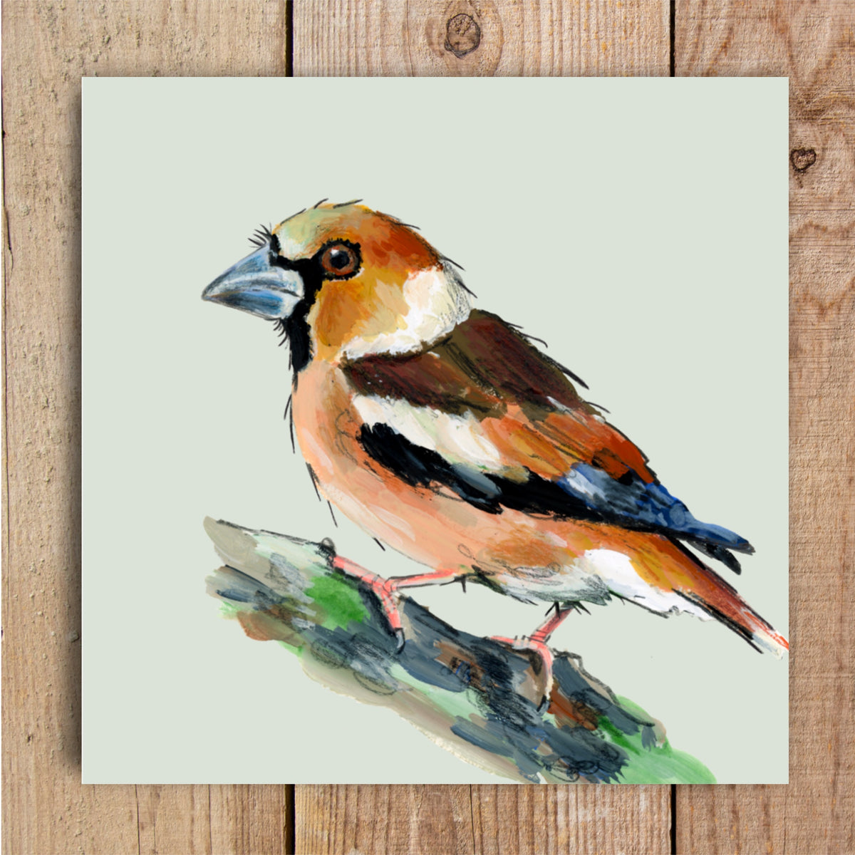 Horace the Hawfinch Eco-Friendly Greetings Card | Wildlife Stationery