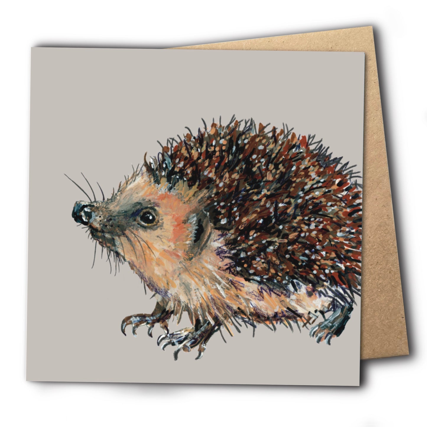 Hedgehog Greetings Card - Tootsie