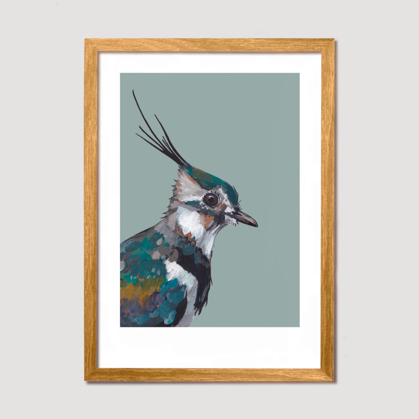 Lapwing Art Print - Lollipop