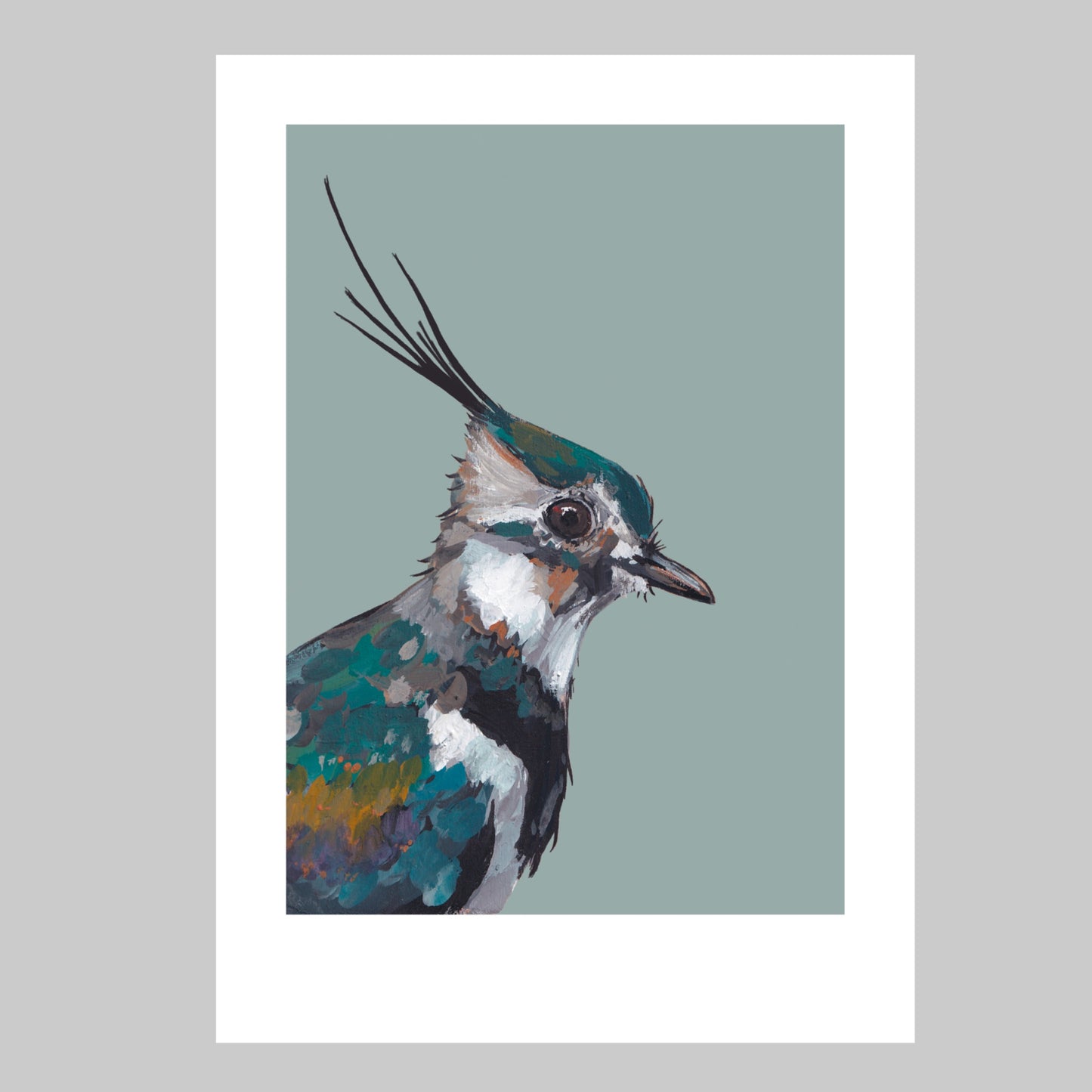 Lapwing Art Print - Lollipop