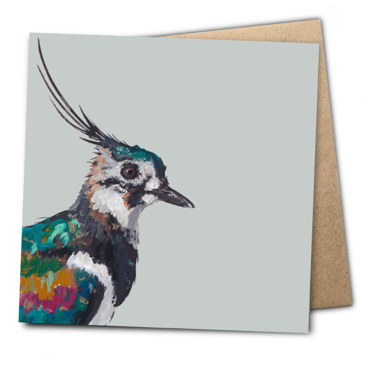 Lollipop the Lapwing Eco-Friendly Greetings Card | Wildlife Stationery