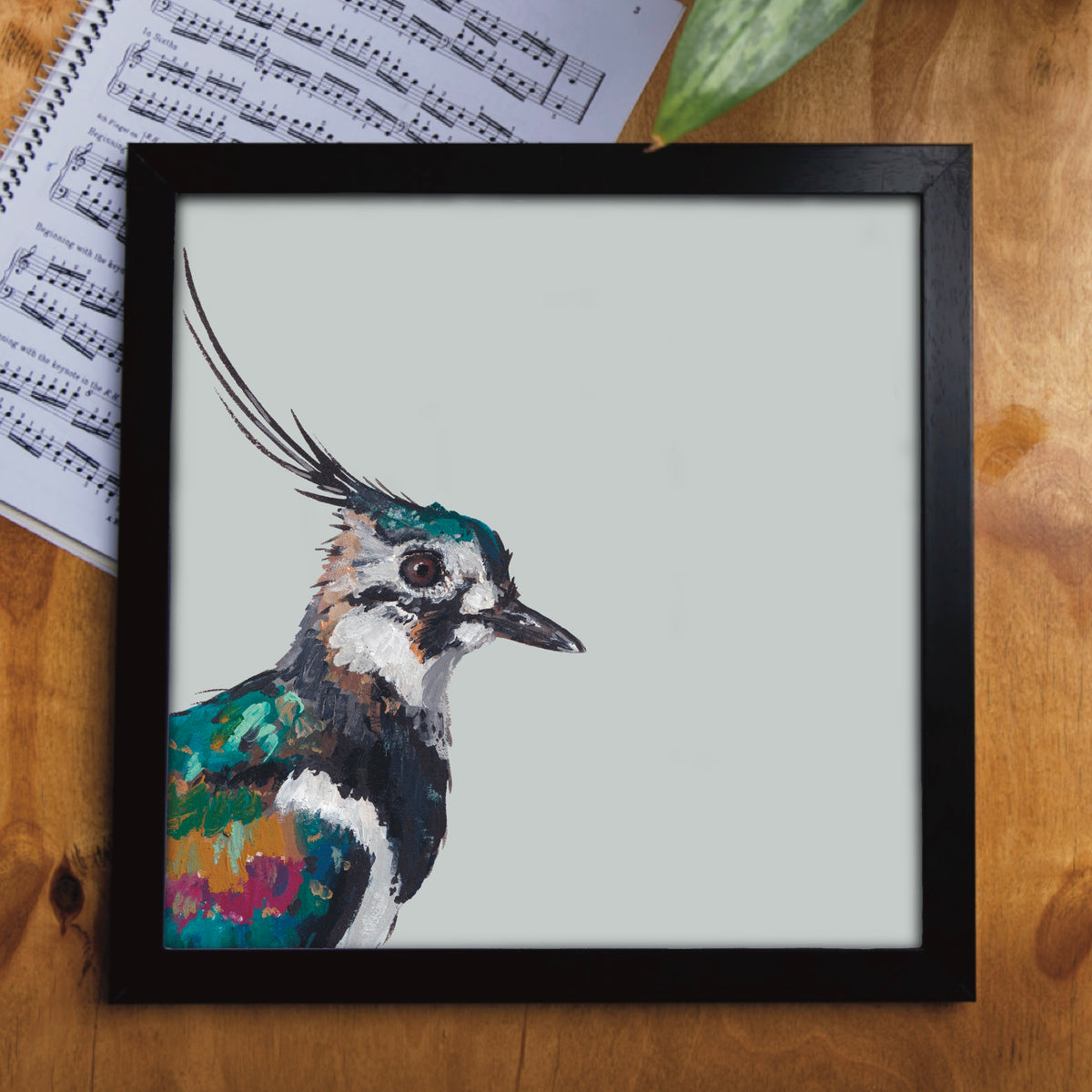 Lollipop the Lapwing Eco-Friendly Greetings Card | Wildlife Stationery