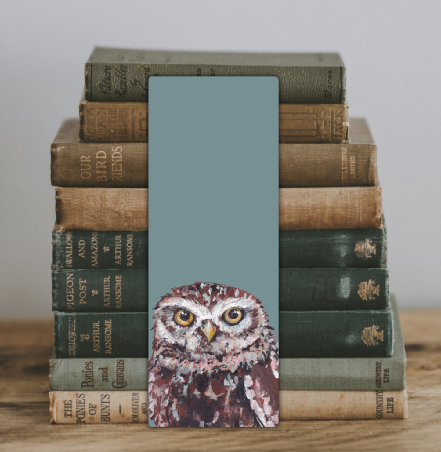 Little Owl Bookmark - Frostford