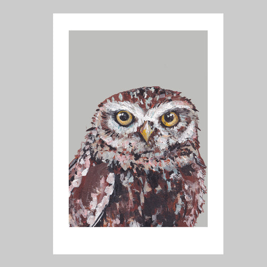 Little Owl Art Print - Frostford