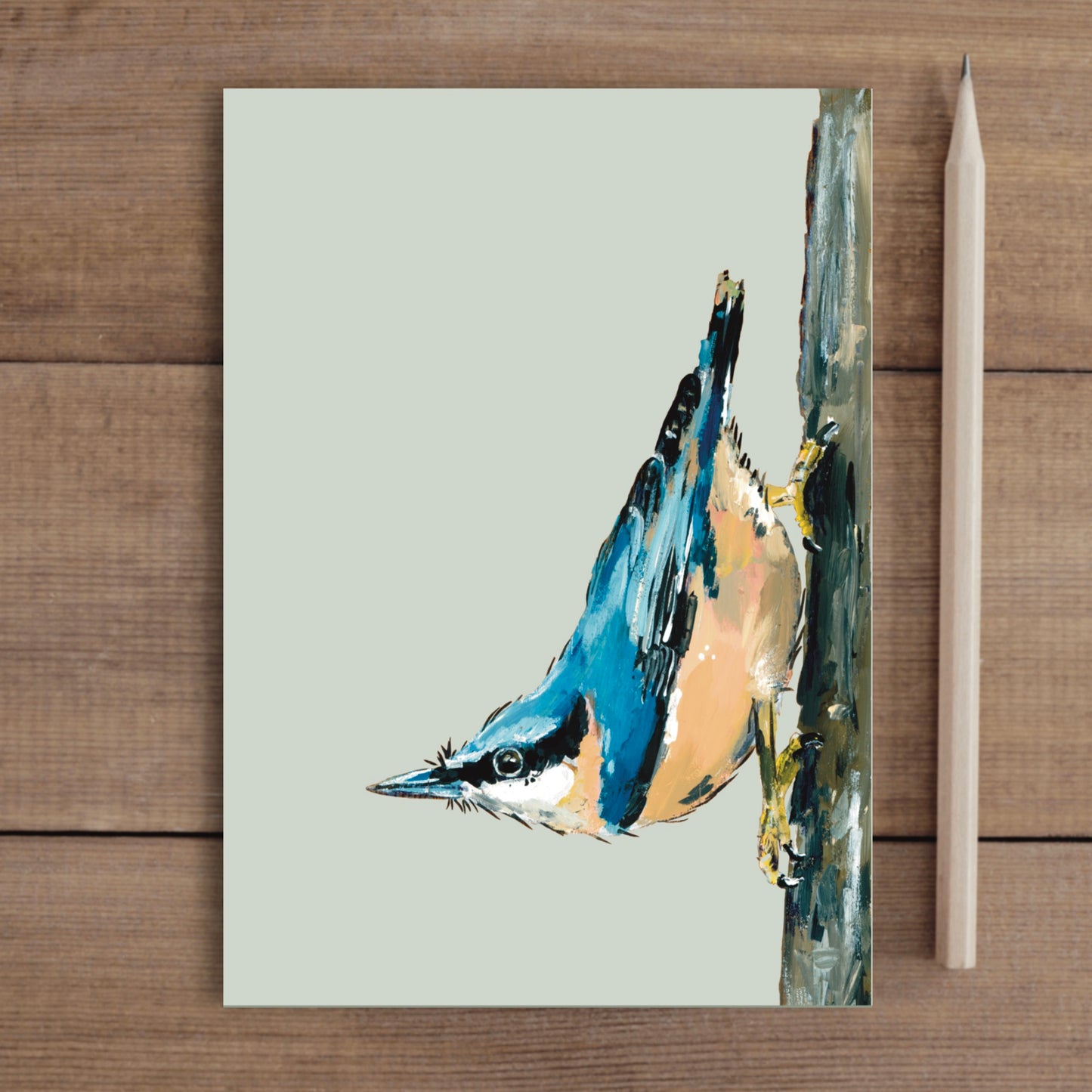 Nuthatch Notebook - Strudel