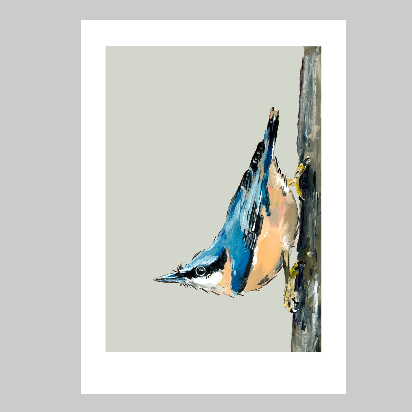 Nuthatch Art Print - Strudel