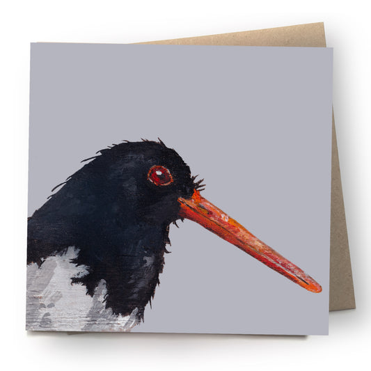 Oystercatcher Greetings Card - Badger