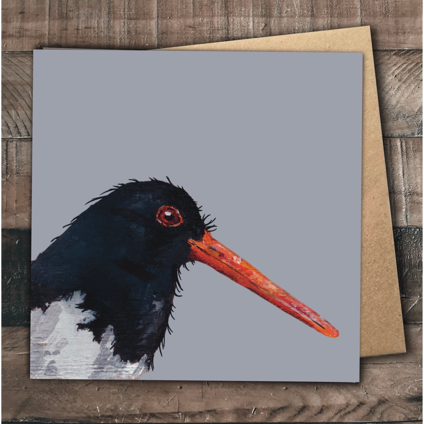 Oystercatcher Greetings Card - Badger