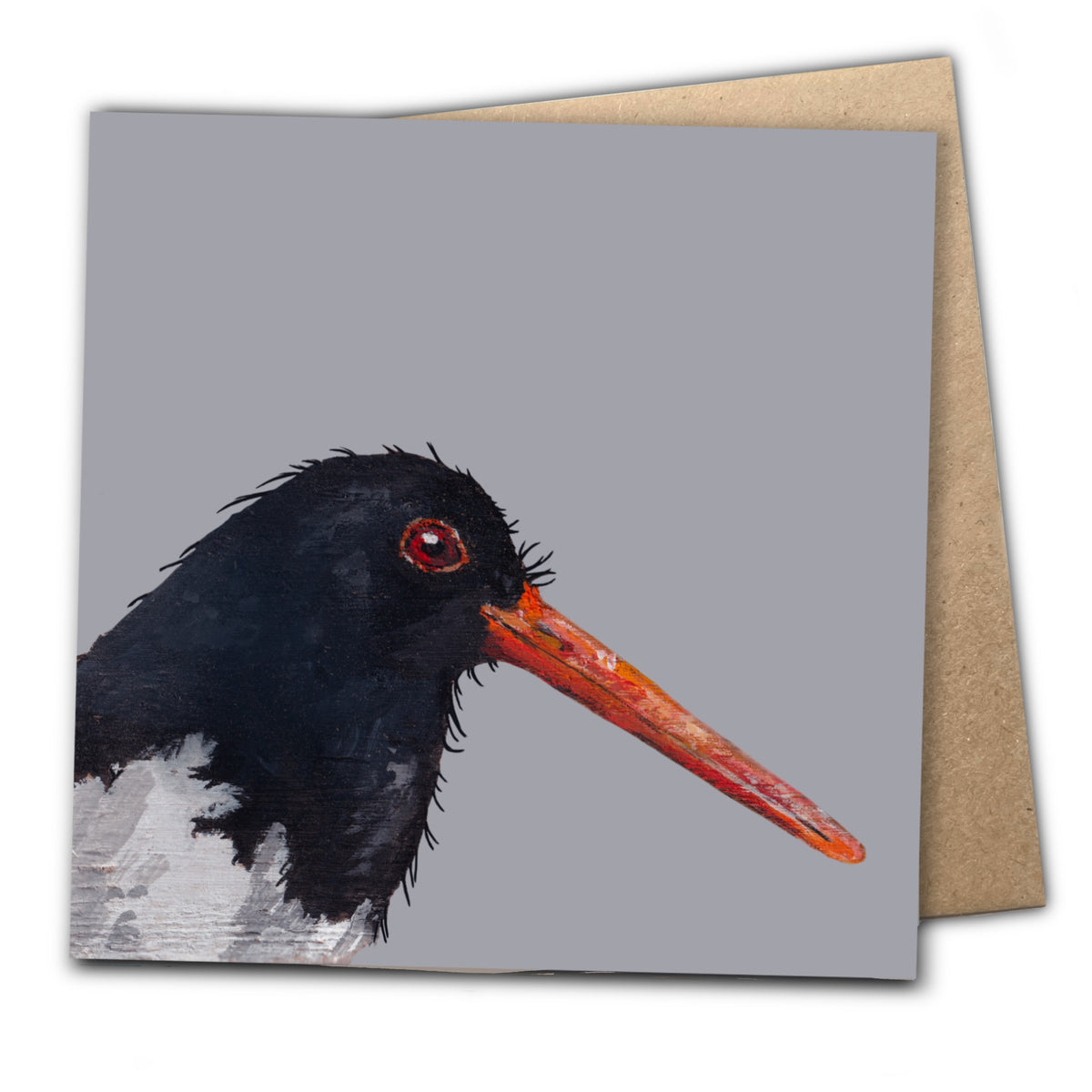 Badger the Oystercatcher Eco-Friendly Greetings Card | Wildlife Stationery