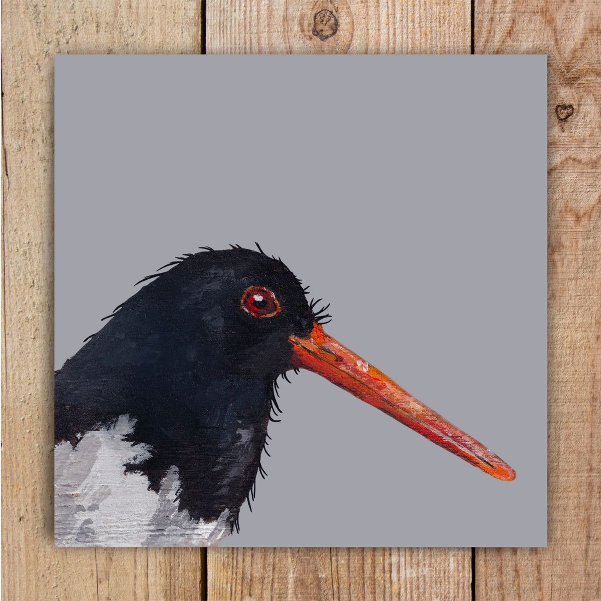 Badger the Oystercatcher Eco-Friendly Greetings Card | Wildlife Stationery
