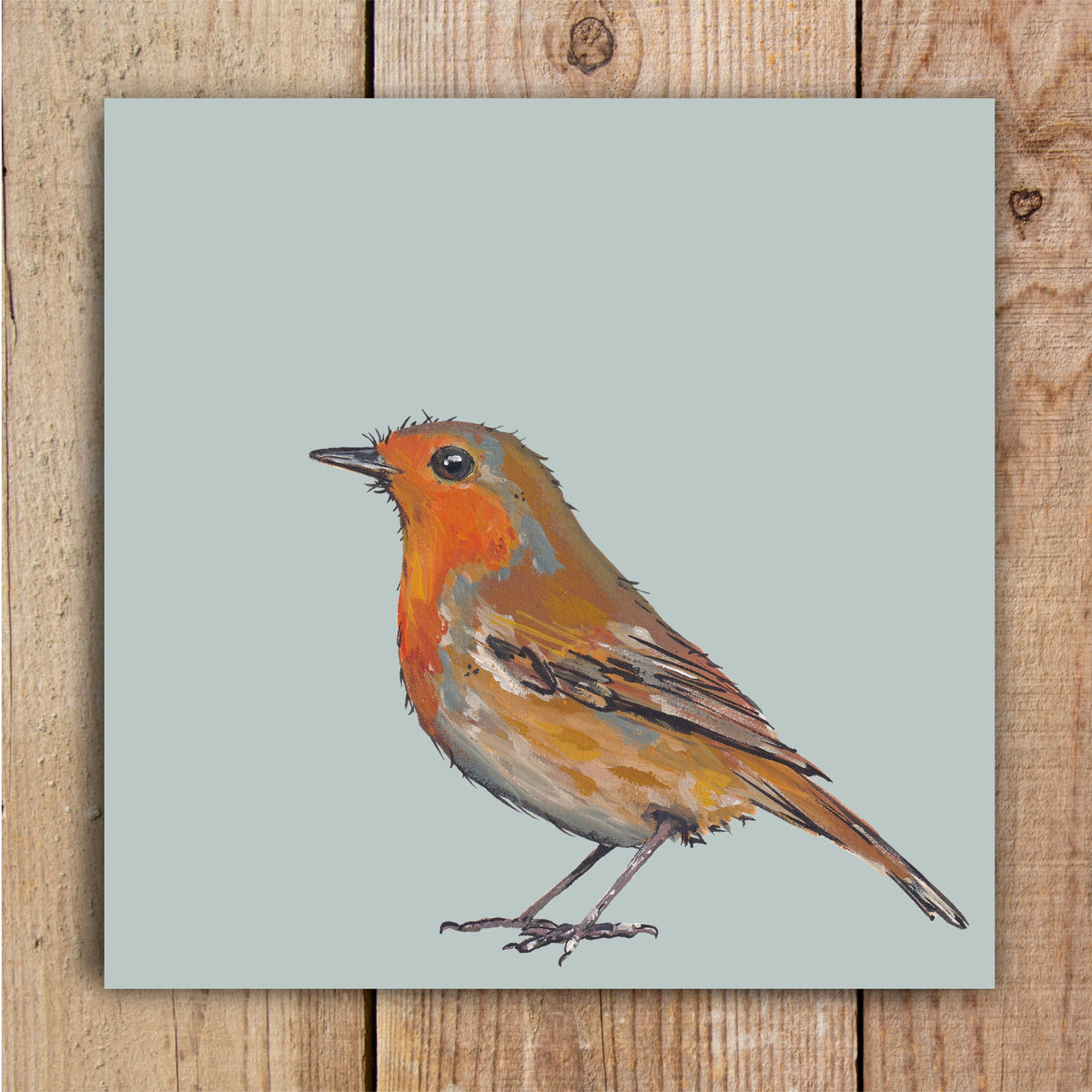 Barnacle the Robin Eco-Friendly Greetings Card | Wildlife Stationery