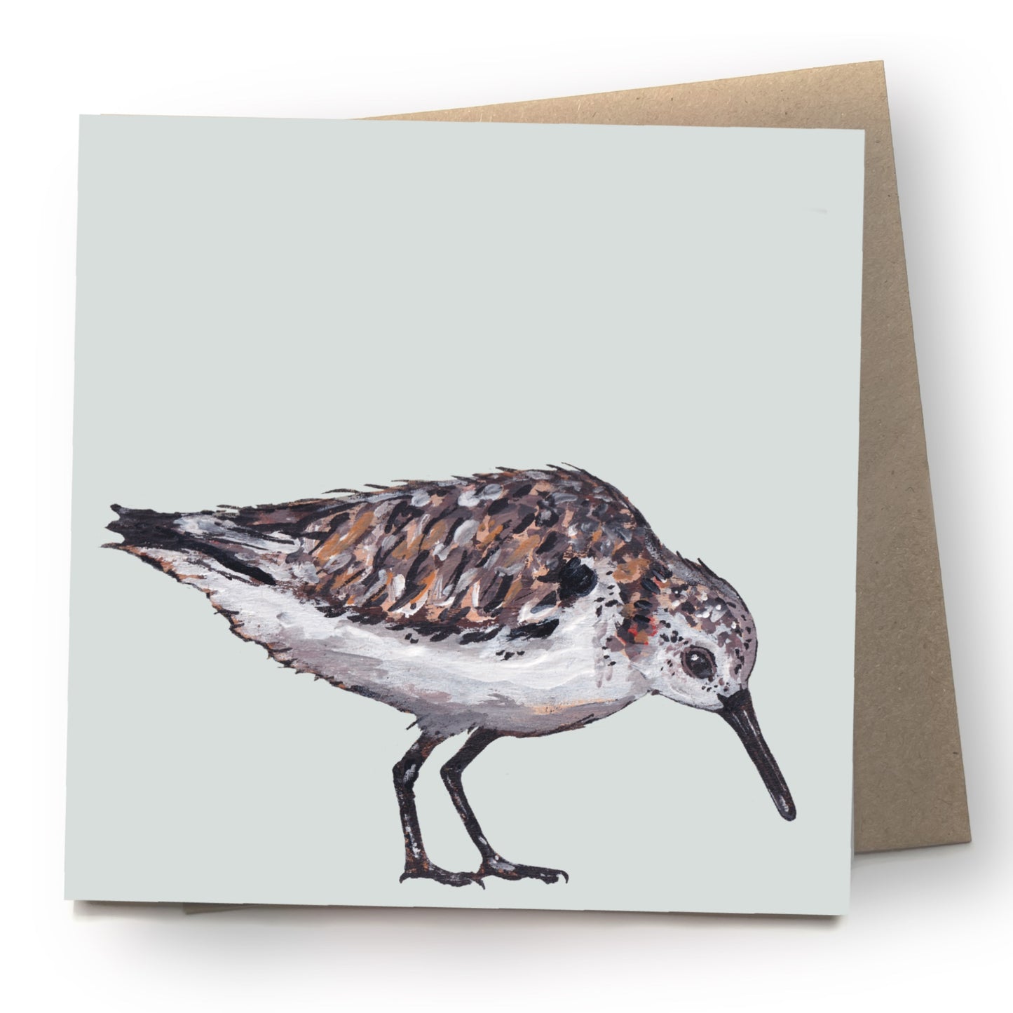 Sanderling Greetings Card - Mrs D