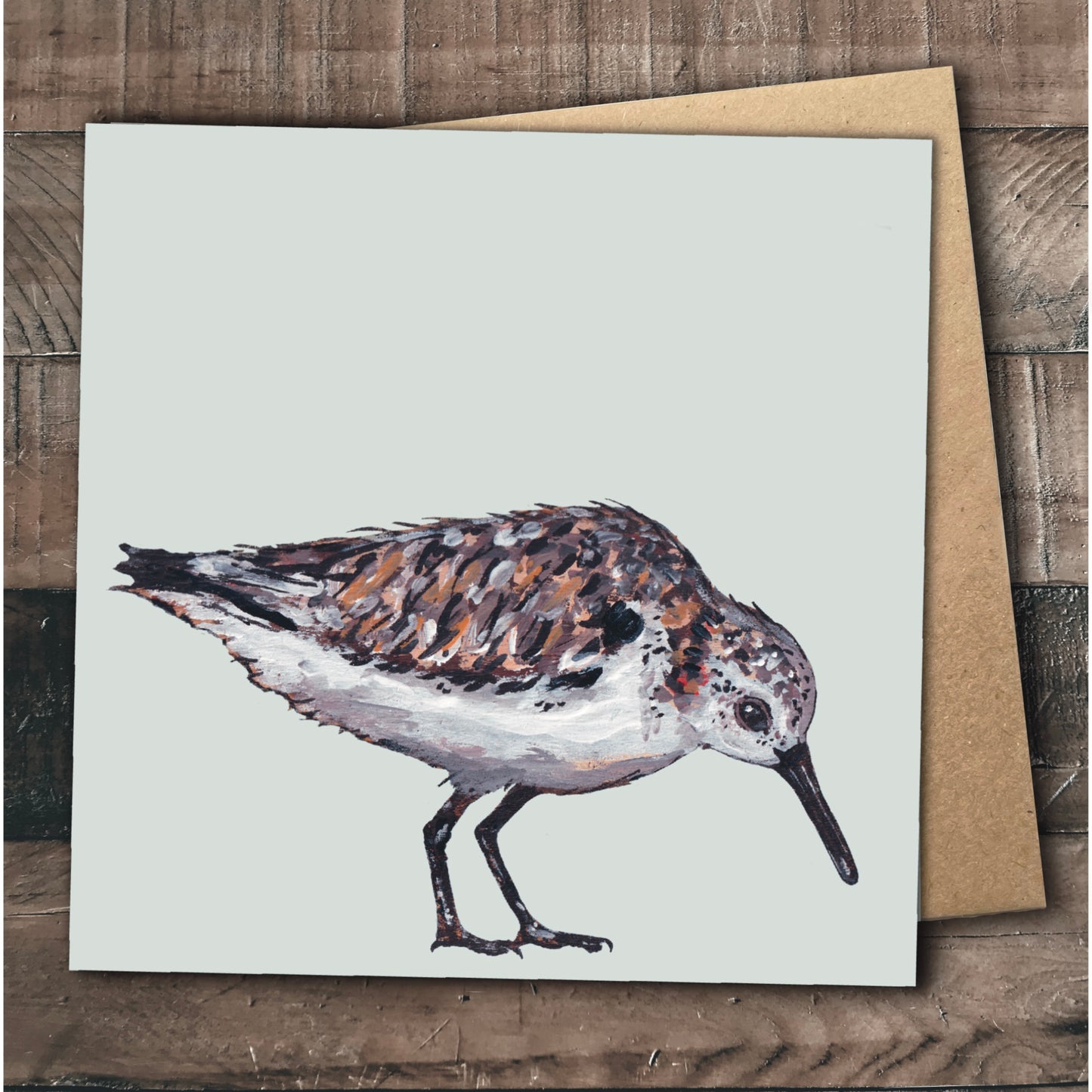 Sanderling Greetings Card - Mrs D