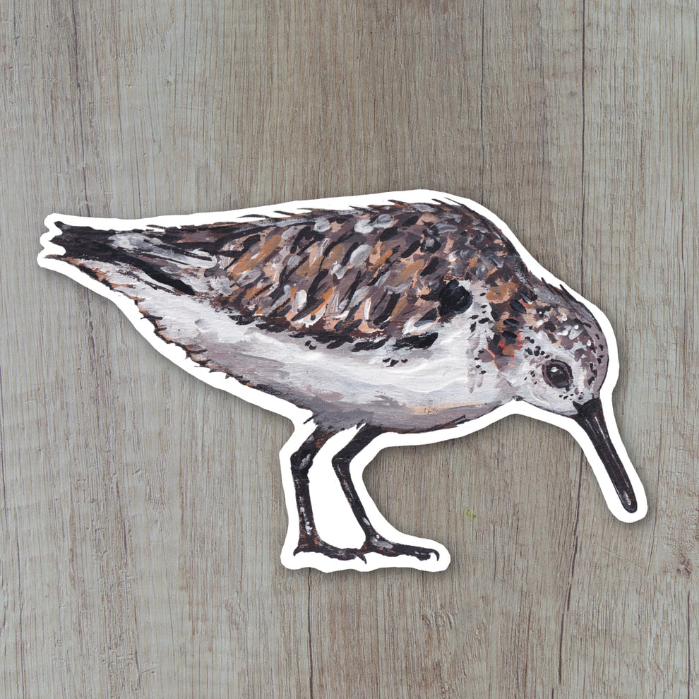 Sandlerling Sticker - Mrs D – Ellwood Parker