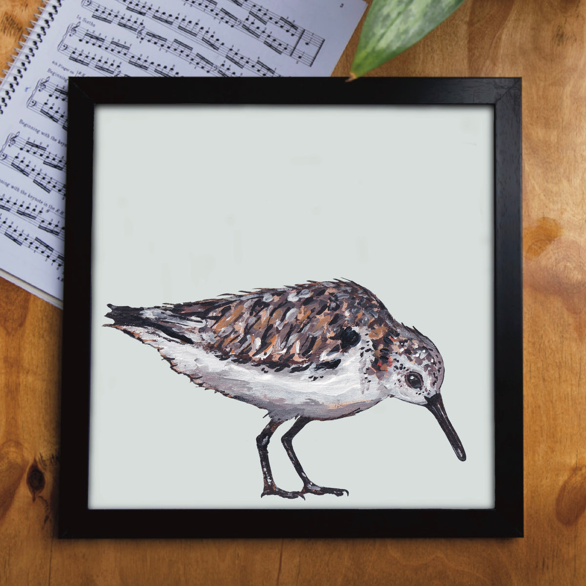 Mrs G the Sanderling Eco-Friendly Greetings Card | Wildlife Stationery
