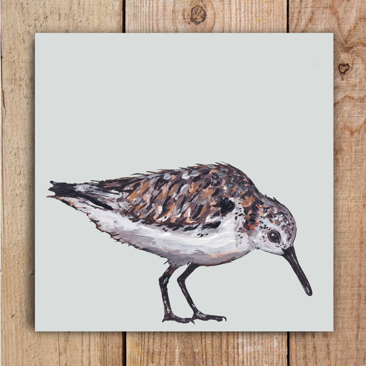 Mrs G the Sanderling Eco-Friendly Greetings Card | Wildlife Stationery