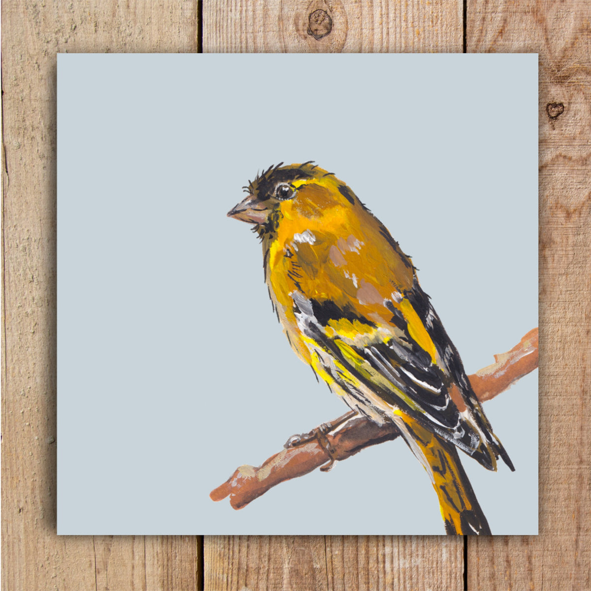Fluffy Bum the Siskin Eco-Friendly Greetings Card | Wildlife Stationery