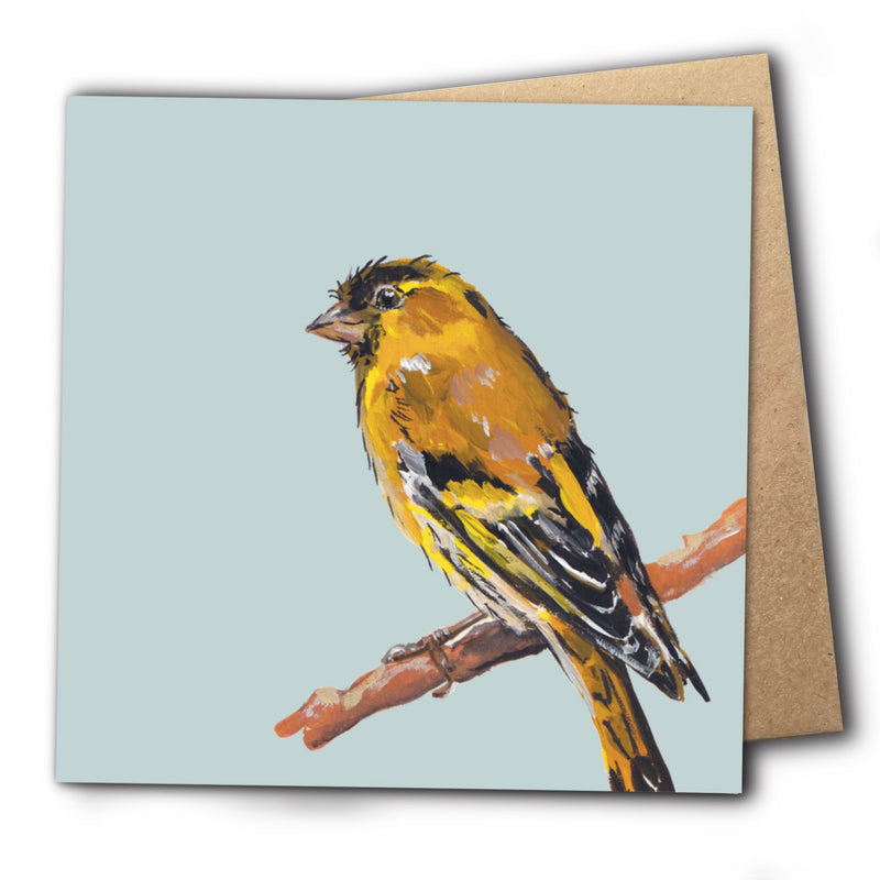 Siskin Greetings Card - Fluffy Bum