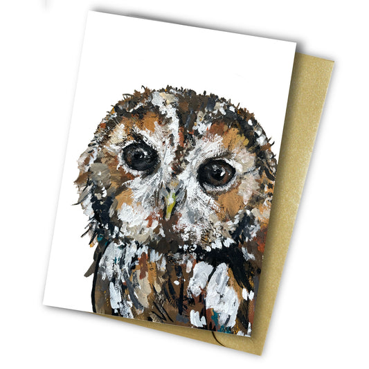 Tawny Owl Notelet Set - Rocky
