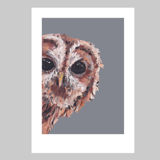 Tawny Owl Art Print - Peeps