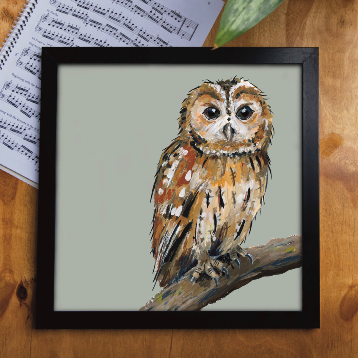 Smaug the Tawny Owl Eco-Friendly Greetings Card | Wildlife Stationery