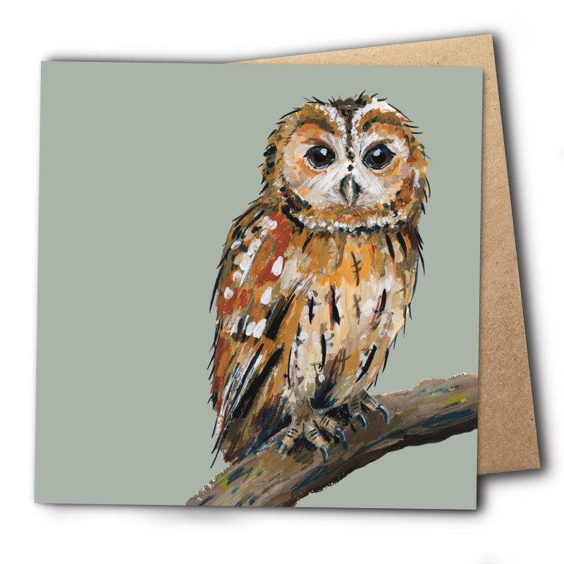 Tawny Owl Greetings Card - Smaug
