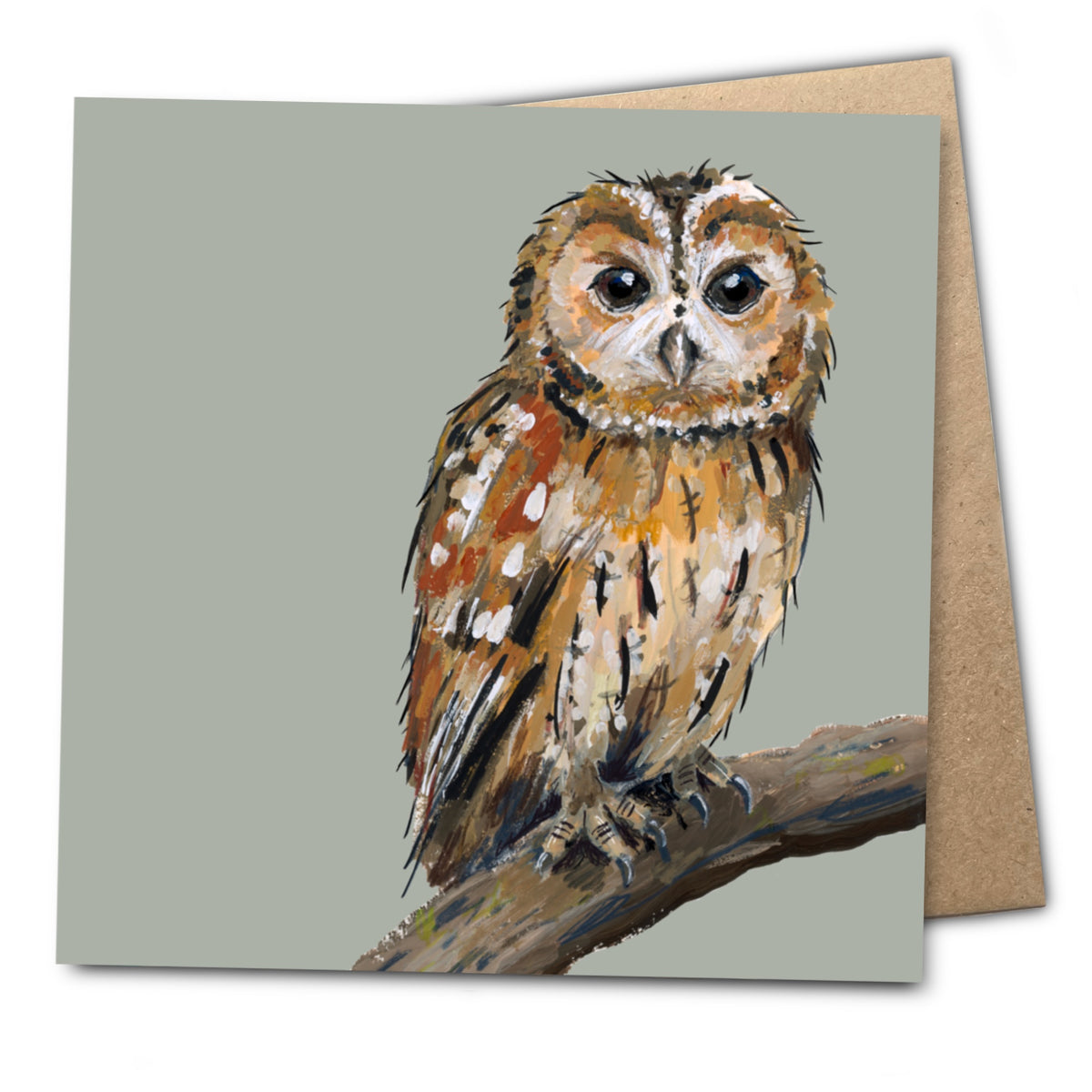 Smaug the Tawny Owl Eco-Friendly Greetings Card | Wildlife Stationery