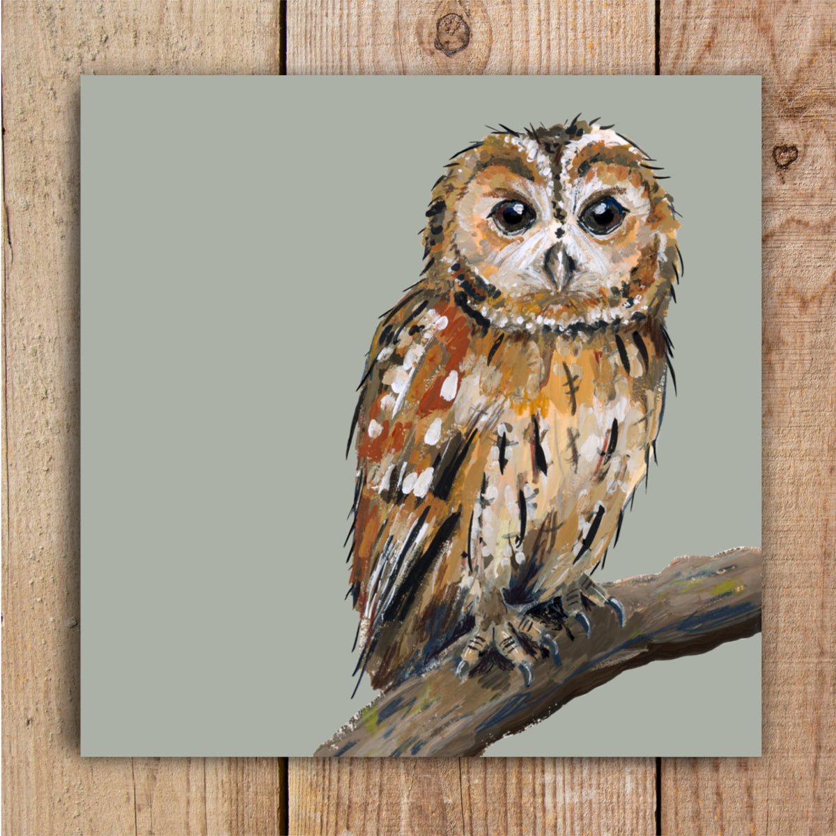 Smaug the Tawny Owl Eco-Friendly Greetings Card | Wildlife Stationery