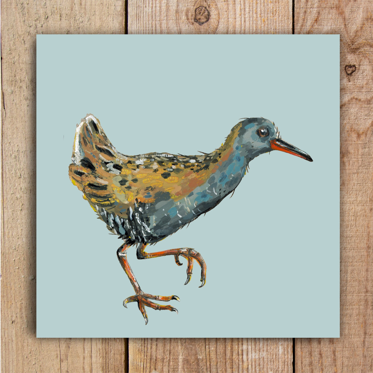Dongle the Water Rail Eco-Friendly Greetings Card | Wildlife Stationery